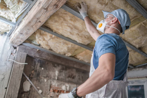 Best Geographic-Specific Insulation Services in Harrisburg, SD