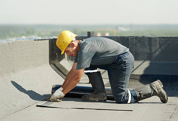Best Specialized Insulation Services in Harrisburg, SD