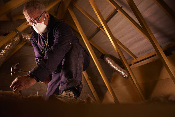 Best Eco-Friendly Insulation in Harrisburg, SD