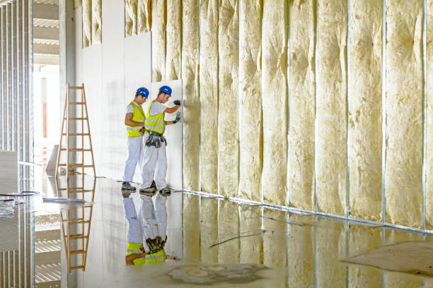Best Insulation Maintenance and Repair in Harrisburg, SD